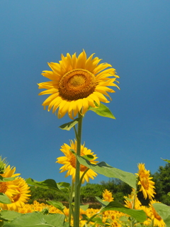 P7020377