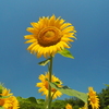 P7020377