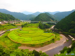 あらぎ島