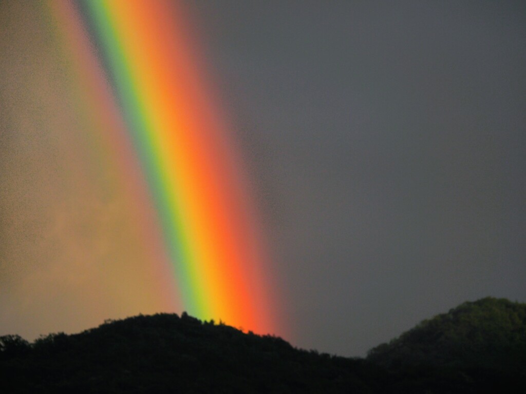 夢の架け橋