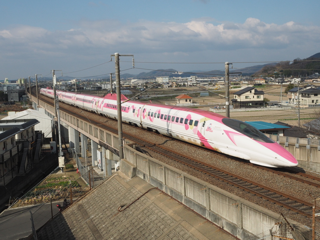 キティさん