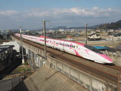 キティさん