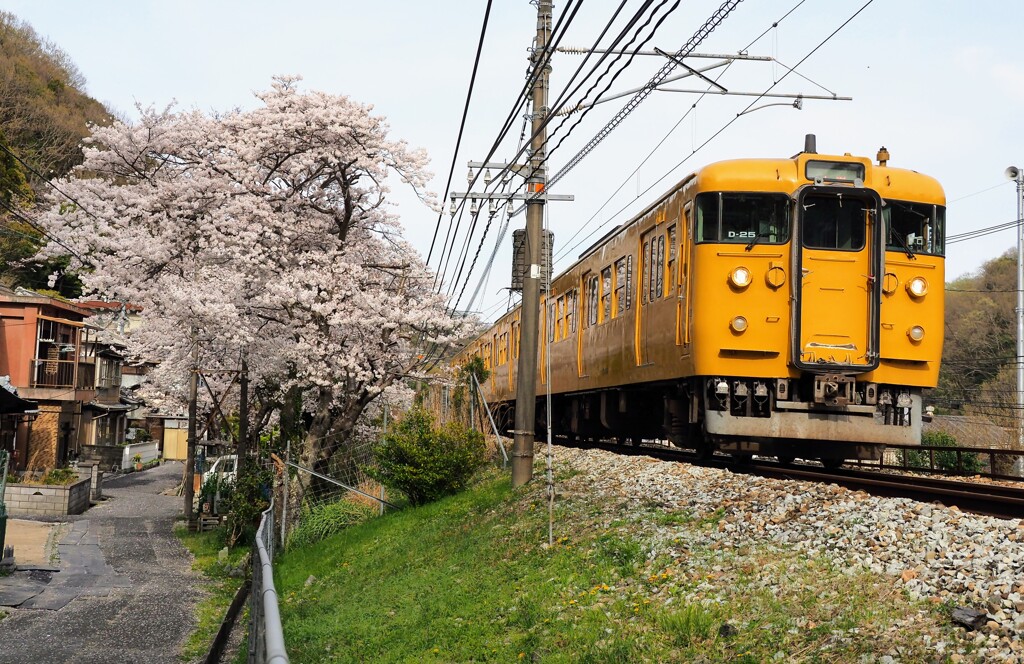 ローカル線
