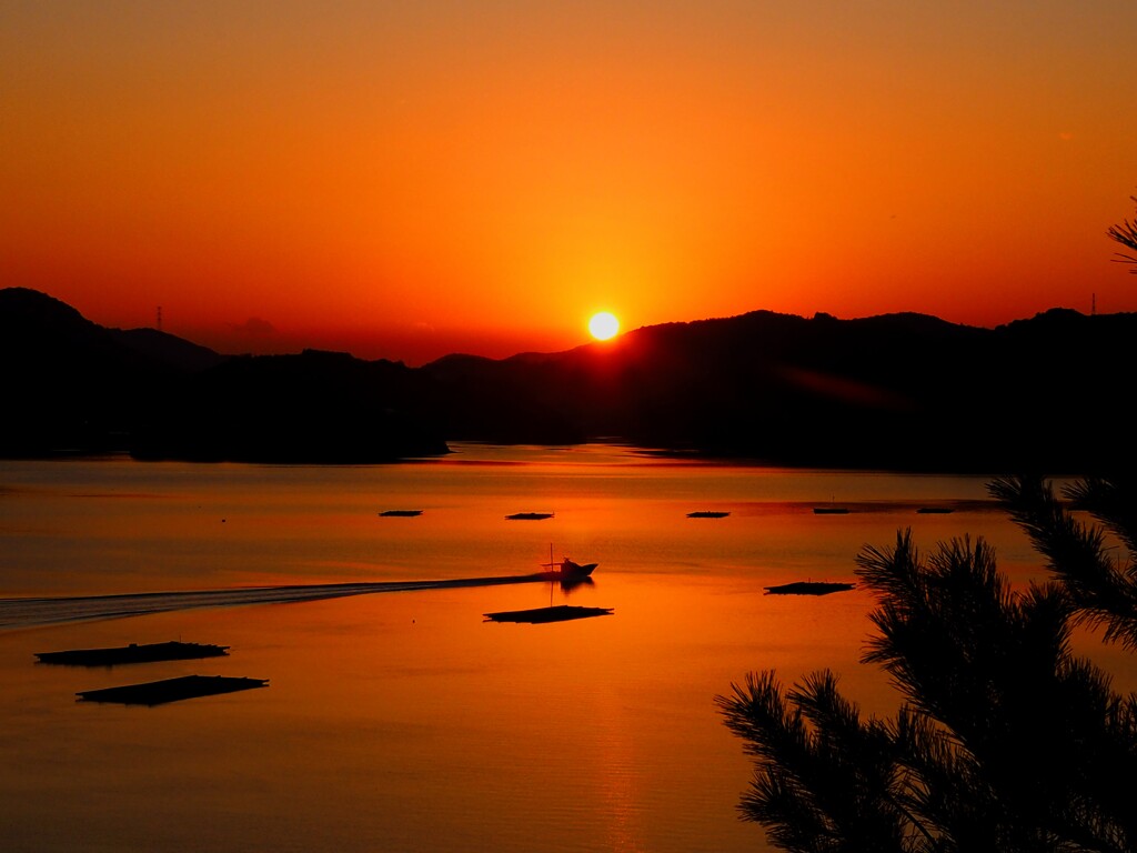 瀬戸内海