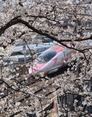 キティー号