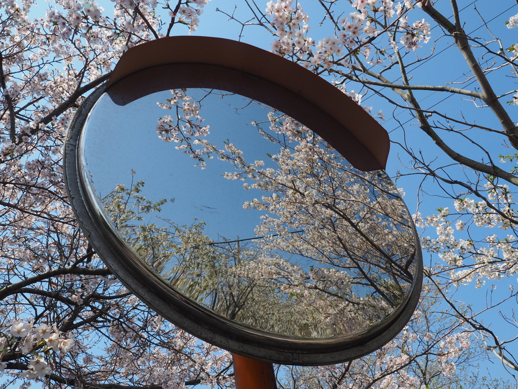 鏡の向こう側