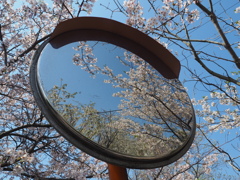 鏡の向こう側