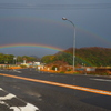 虹の架け橋