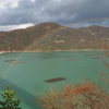 虹の架け橋