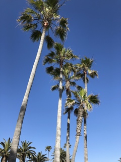 抜ける様な青空