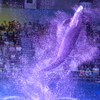 オキゴンドウ～水の衣を巻き上げて