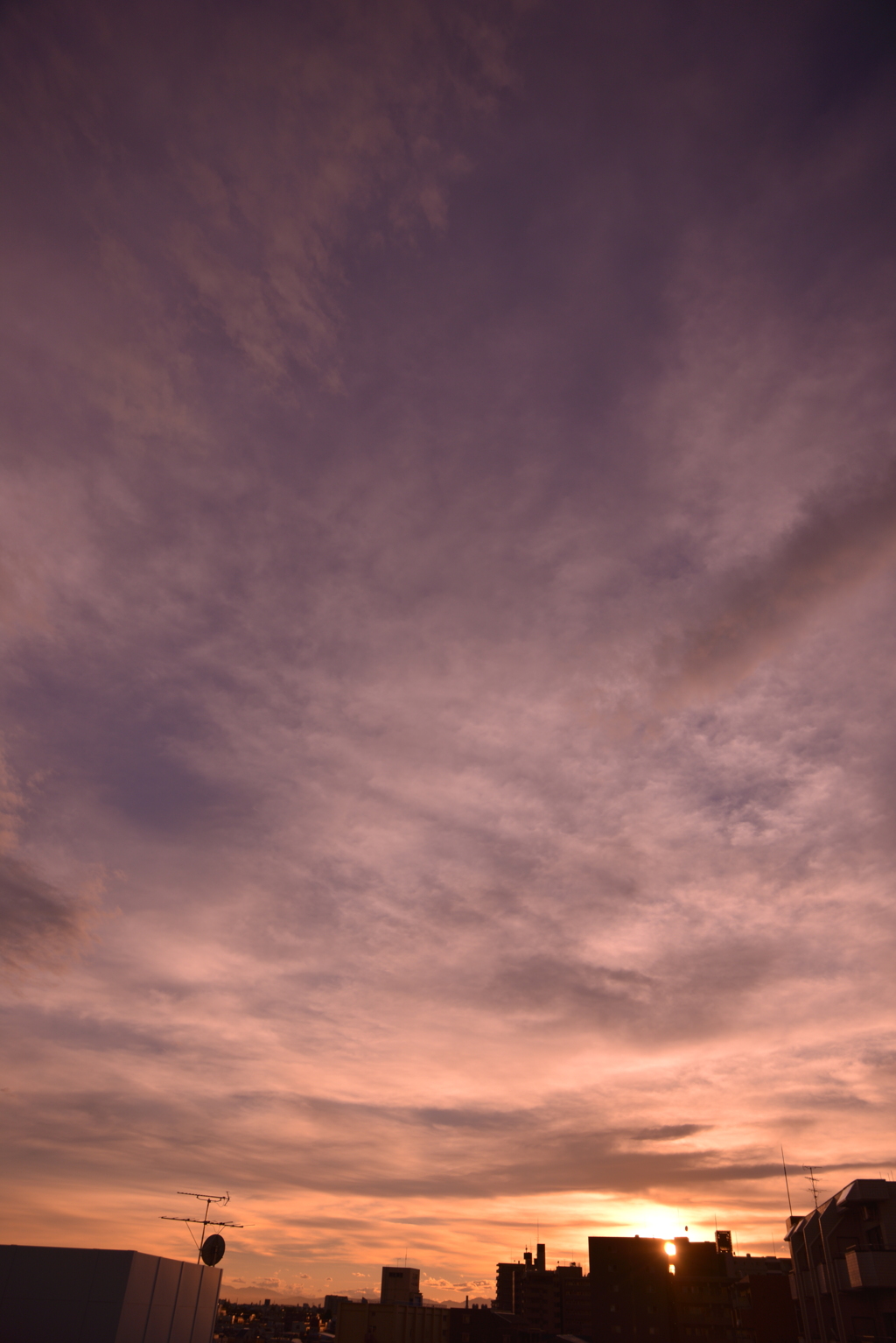 夕暮れ時
