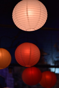 提灯 / Japanese Lantern