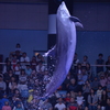 ジャンプ成功！