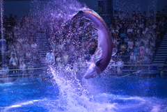 回転～水飛沫を巻き上げて