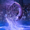 回転～水飛沫を巻き上げて