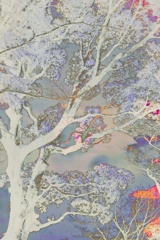木