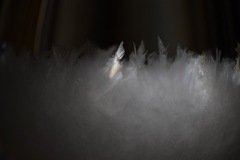 ストームグラスの結晶 ❅∗°﻿⋆﻿
