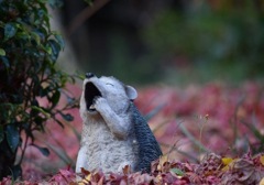 ふわぁ。。
