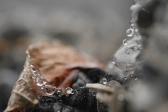 蜘蛛の糸の水滴