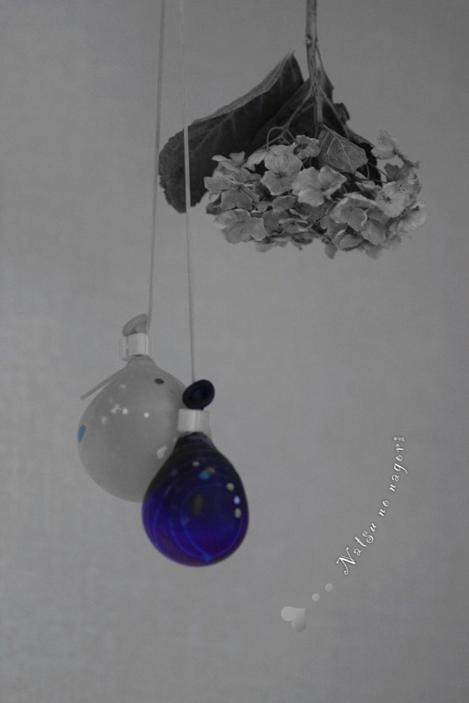 萎んだヨーヨーと枯れ紫陽花 By Aicoaico Id 写真共有サイト Photohito