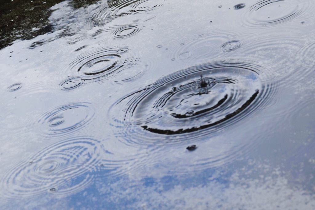 雨の波紋と青空リフレ