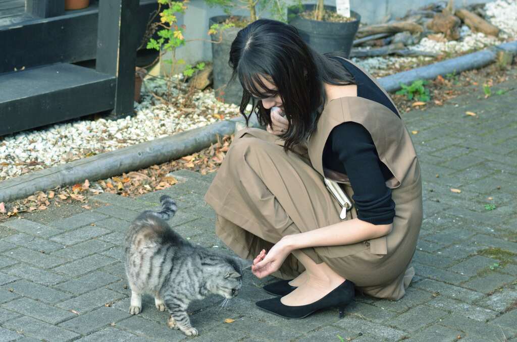 猫と美人