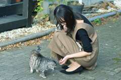 猫と美人