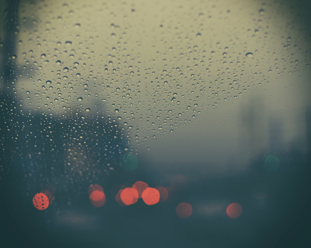 after the rain
