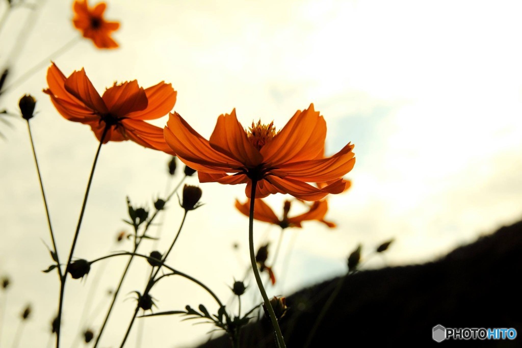 70F89D65-3994-4B11-957B-DFDD5570ED55