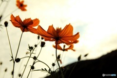 70F89D65-3994-4B11-957B-DFDD5570ED55