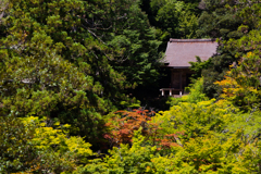 夏の那谷寺２