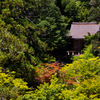 夏の那谷寺２