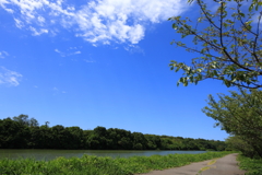 散歩道