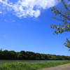 散歩道