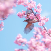 次の桜へ飛べ