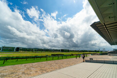 休日の競馬場