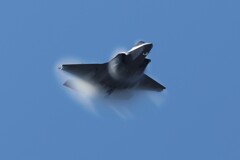 F-35A モフモフ