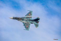 F-2 背中。