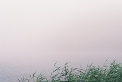 湖