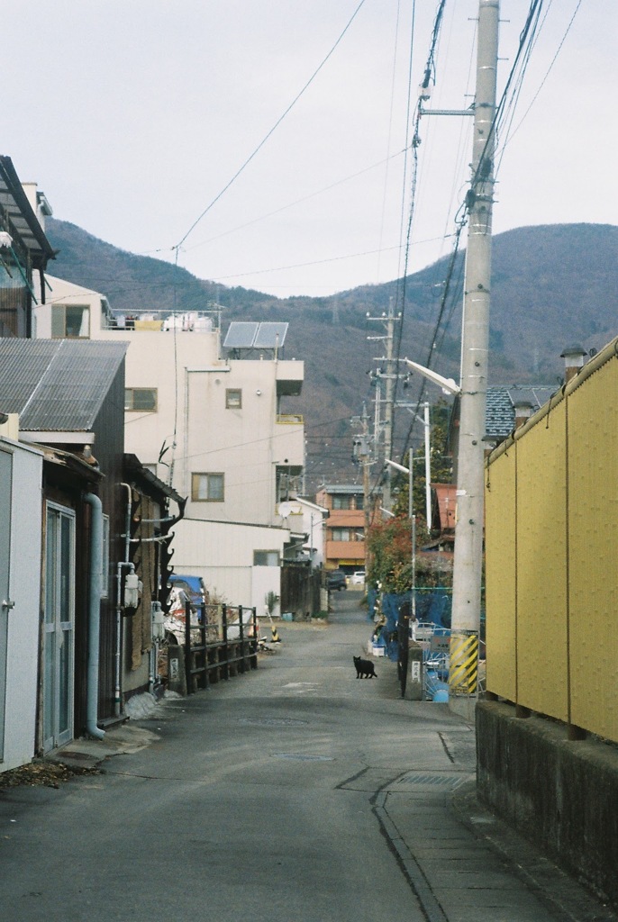 路地と黒猫