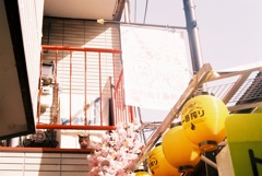 袋町　猫