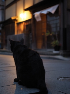 深夜の帰宅　途中