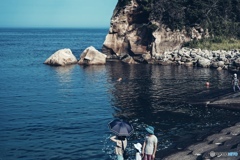 海