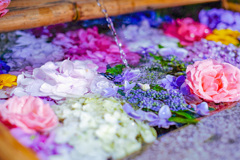 花手水