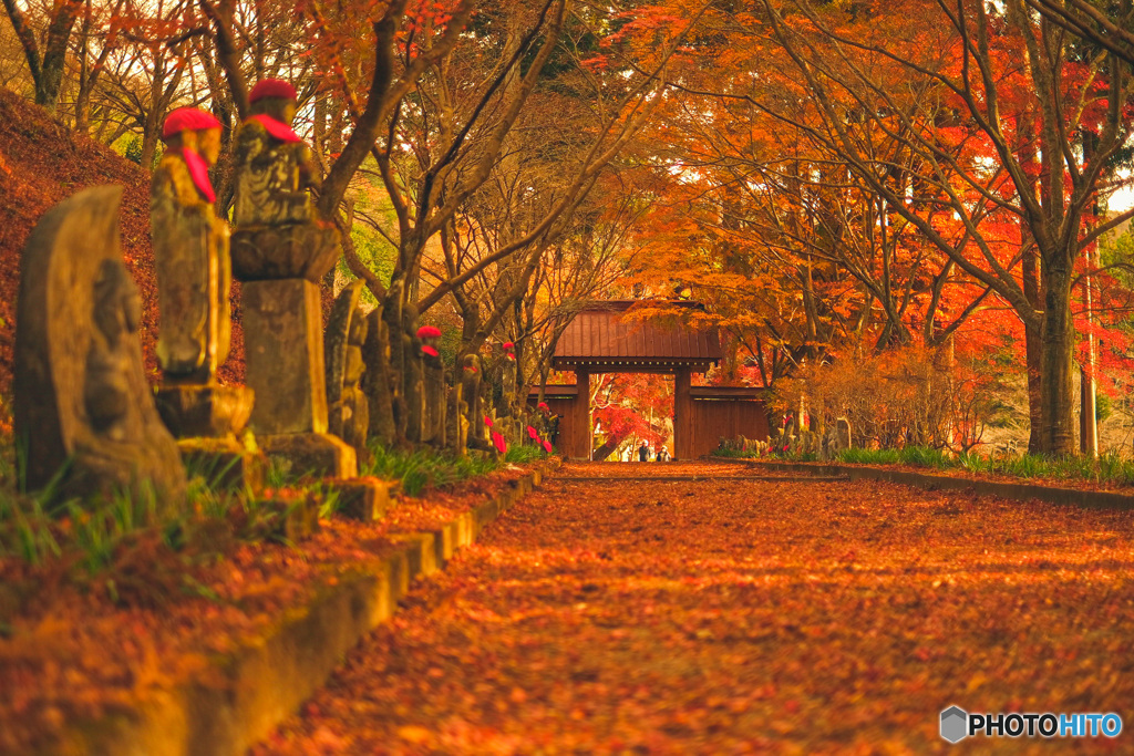 終わりかけの紅葉