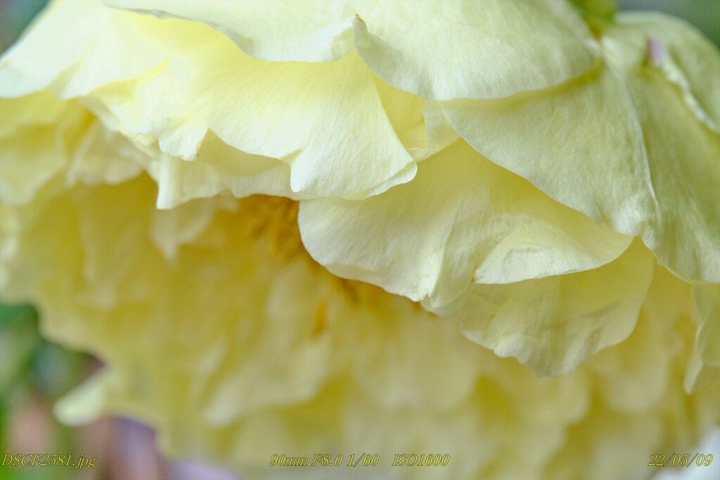 DSCF2581_R