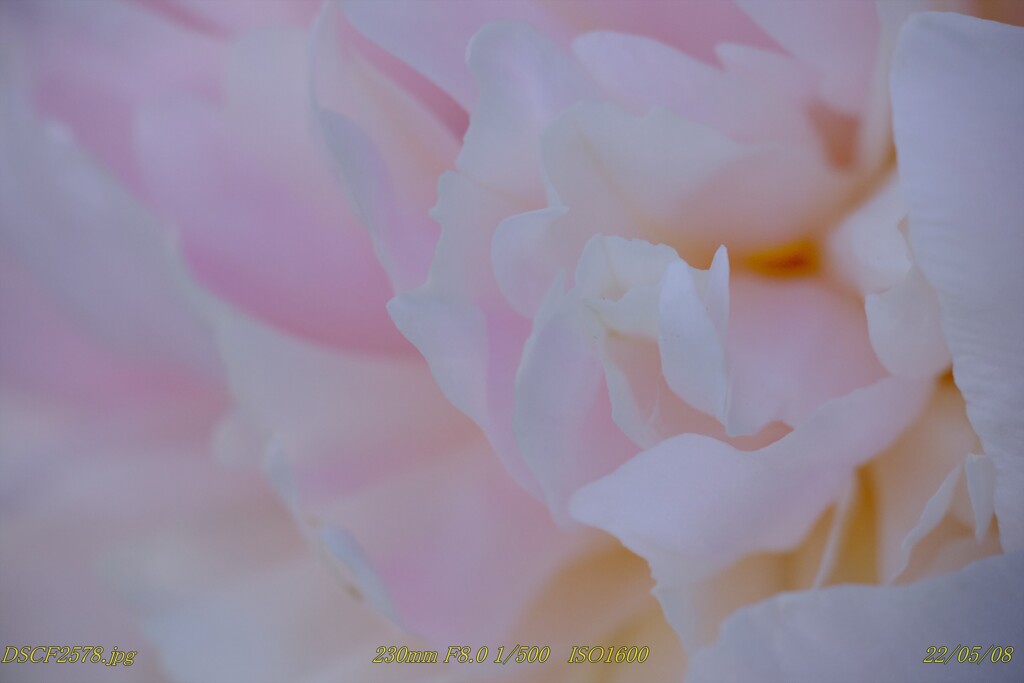 DSCF2578_R