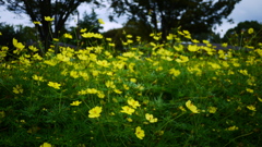 天使のようでもあり