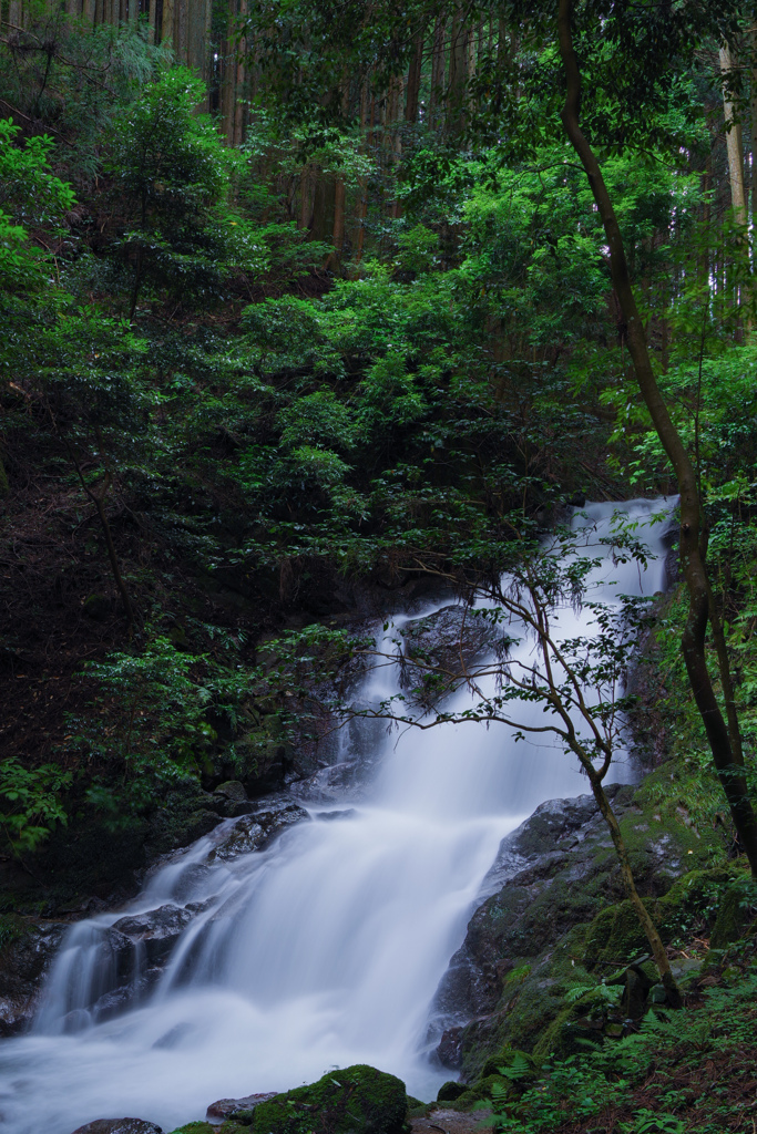 田代の本滝(新城市)